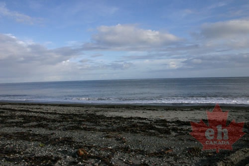 Sandy Beach (905 visits) Enjoying the beach and no one around Sandy Beach