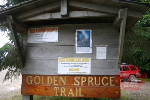 Trailhead Information Shelter