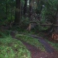 Hiking Trail