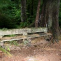 Viewing Bench