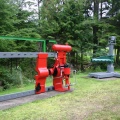 Artifacts of the Forestry Industry