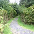 Hiking Trail