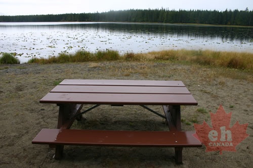Picnic Table