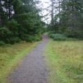 Hiking Trail