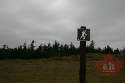 Trail Route Signs