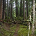 Hiking Trail