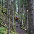 Hikers