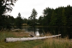 Shoreline