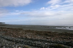 Coastline Views