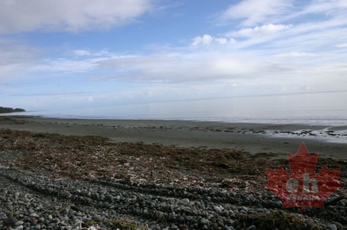 Coastline Views
