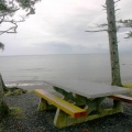 Picnic Area