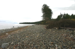 Pebbled Beach