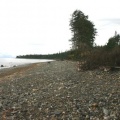 Pebbled Beach