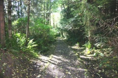 Hiking Trail