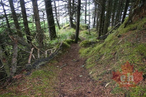 st_mary_spring 007.jpg