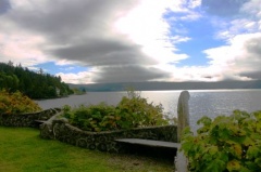 Viewing Bench