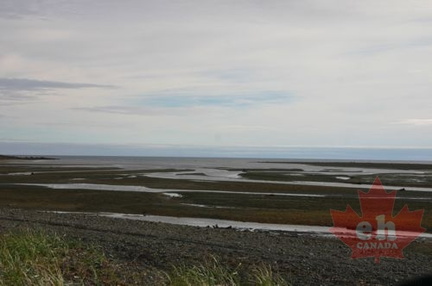 Low Tides