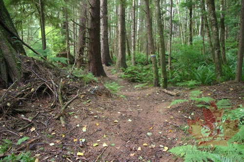 Hiking Trail