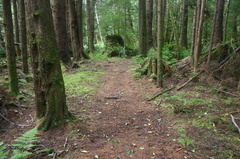Hiking Trail