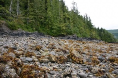 Rocky Coastline