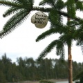 Tree Ornament