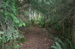 Wilderness Hiking Trail