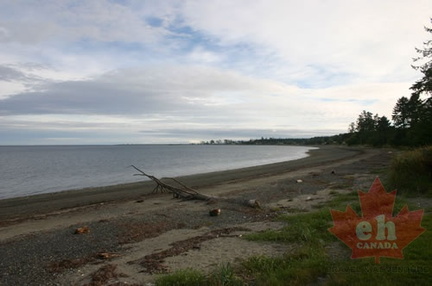 Remote Wilderness Sandy Beach