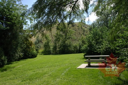Picnic Table