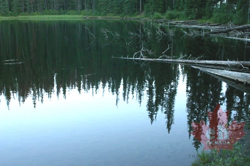 Reflections