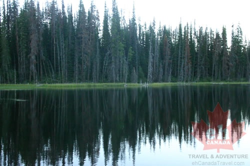 Lake Views