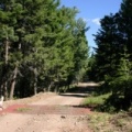 Gravel Roads