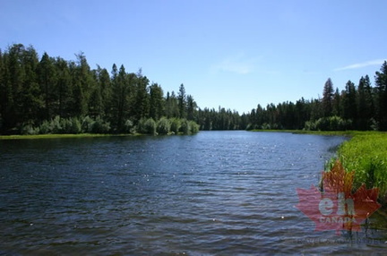 Lake Views