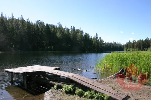 Wooden Pier