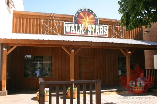 Walk of Stars Main Office