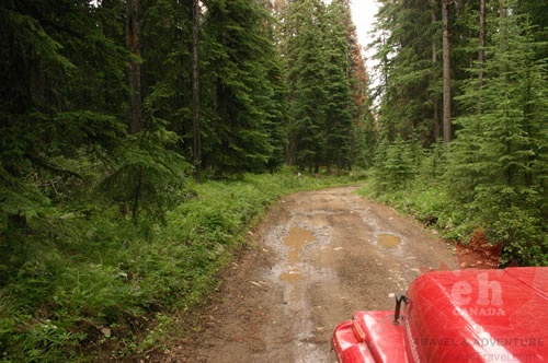 4by4_roads.jpg