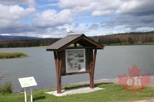 Leighton Lake