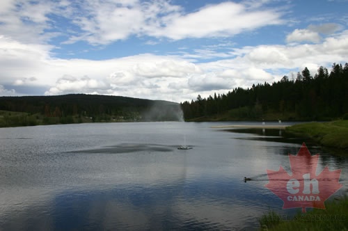 Logan Lake - display this album Logan Lake