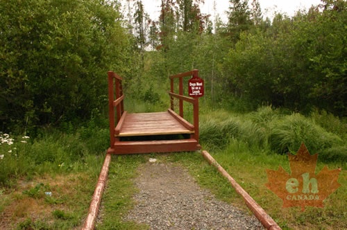 trail 002.jpg