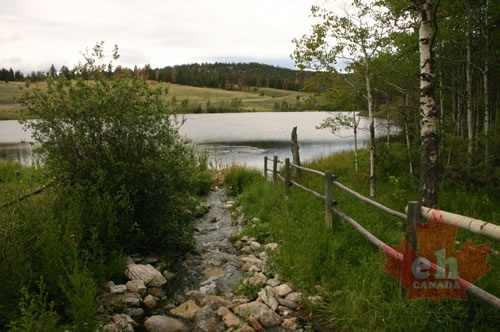 Spawning Channel