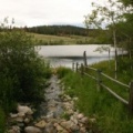 Spawning Channel