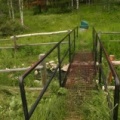 Creek Bridge