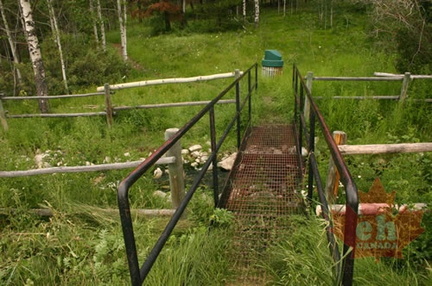 Creek Bridge