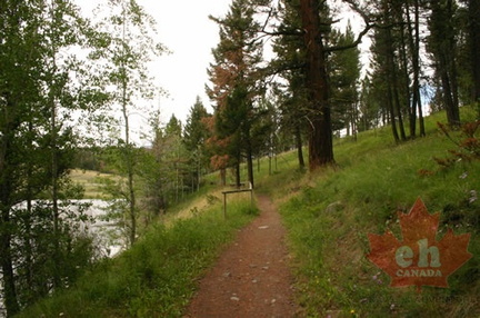 Nature Trail