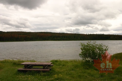 Picnic Table