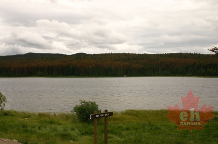 Lake Views