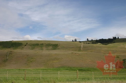 Rolling Grass Hills