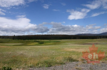 Grasslands