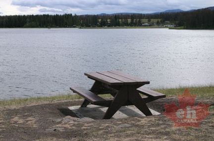 Waterfront Picnic