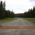 Cattle Guard