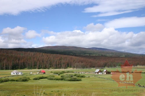 Farm Fields